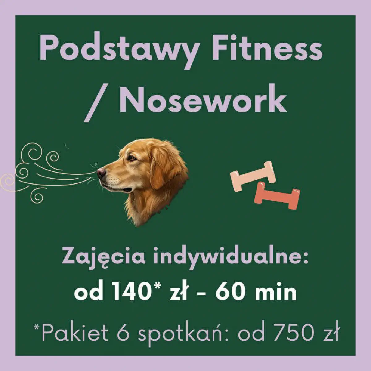 Zajęcia specjalistyczne