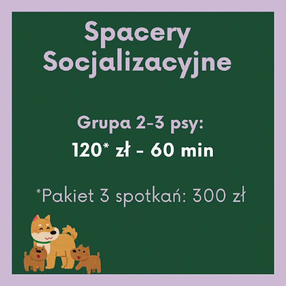 Spacery i socjalizacja